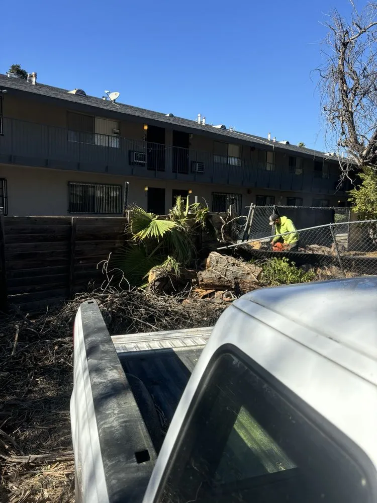 Top-rated residential landscaping in Rialto, CA by Fresh Cuts Landscape