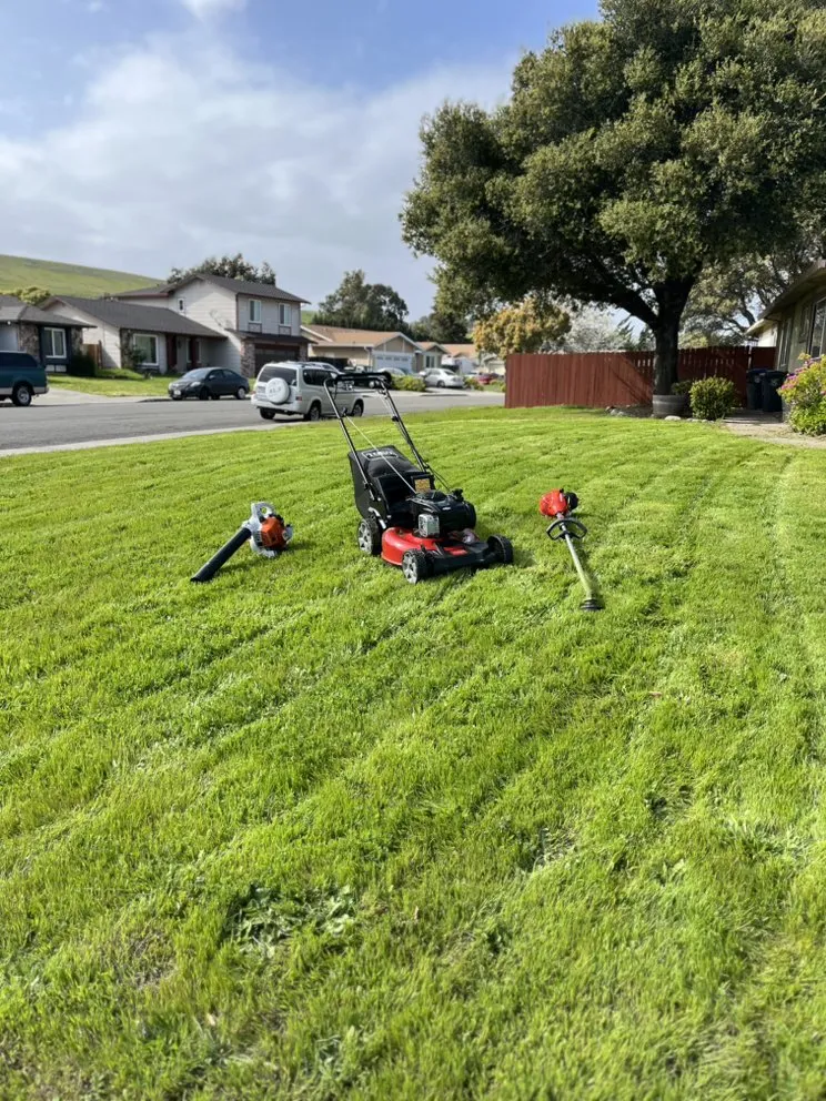 Professional yard maintenance experts serving Fairfield, CA - Fresh cuts Landscaping
