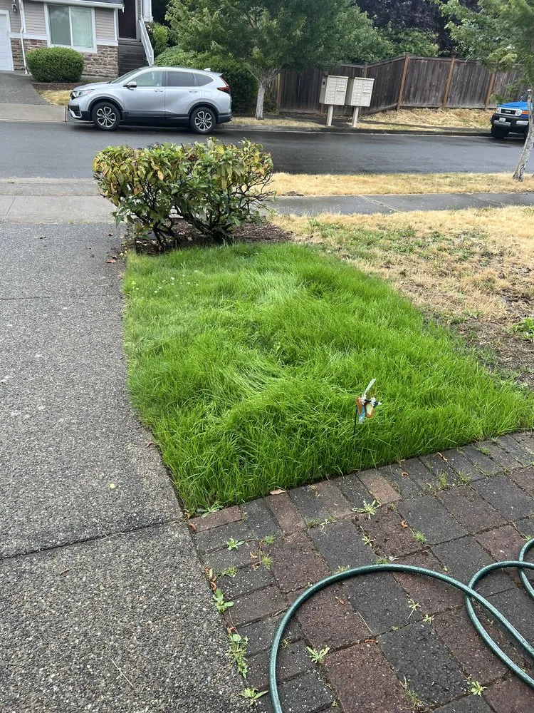 Custom residential landscaping experts serving Kirkland, WA - Fresh Cuts Landscaping
