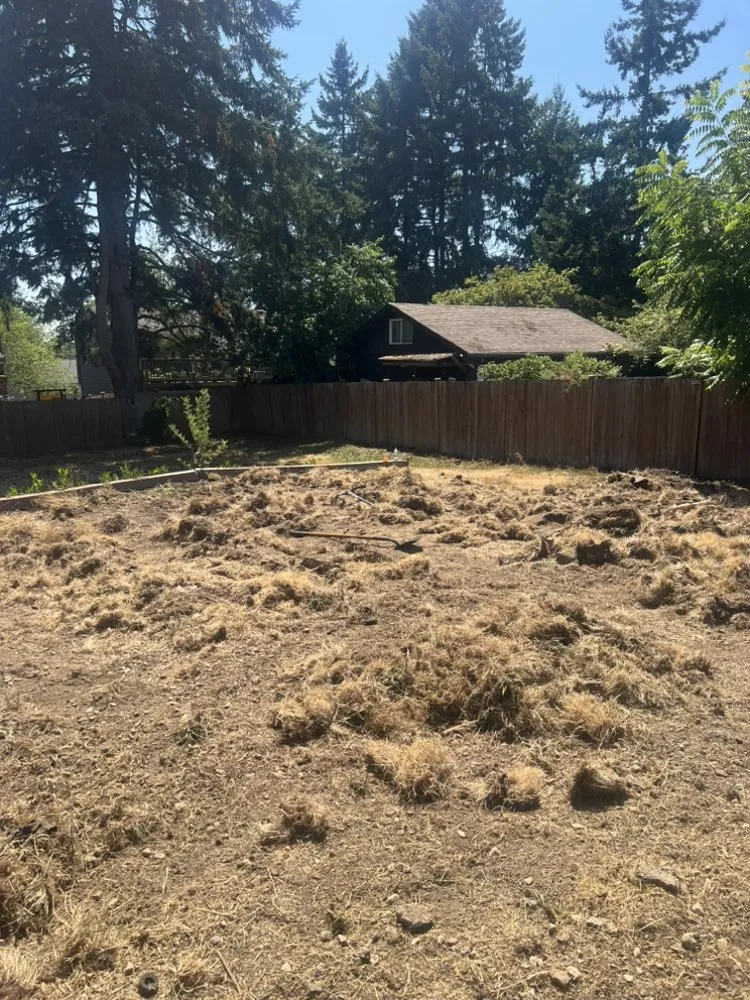 Affordable landscape installation experts serving Kirkland, WA - Fresh Cuts Landscaping