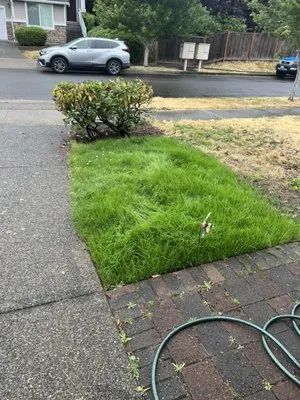 Fresh Cuts Landscaping