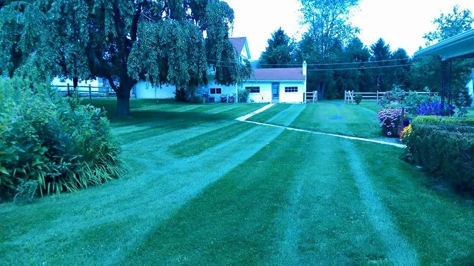 Top-rated landscaping services near you across Allentown, PA - Fresh Cuts Lawn & Maintenance