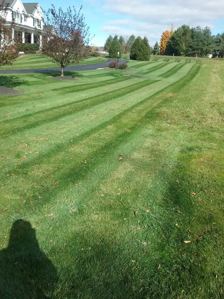 Expert lawn care service in Allentown, PA by Fresh Cuts Lawn & Maintenance