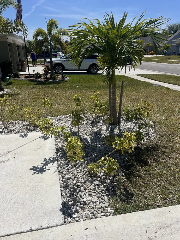 Affordable landscaping services in Palm Bay, FL - Fresh Cuts Lawn Care & Landscaping