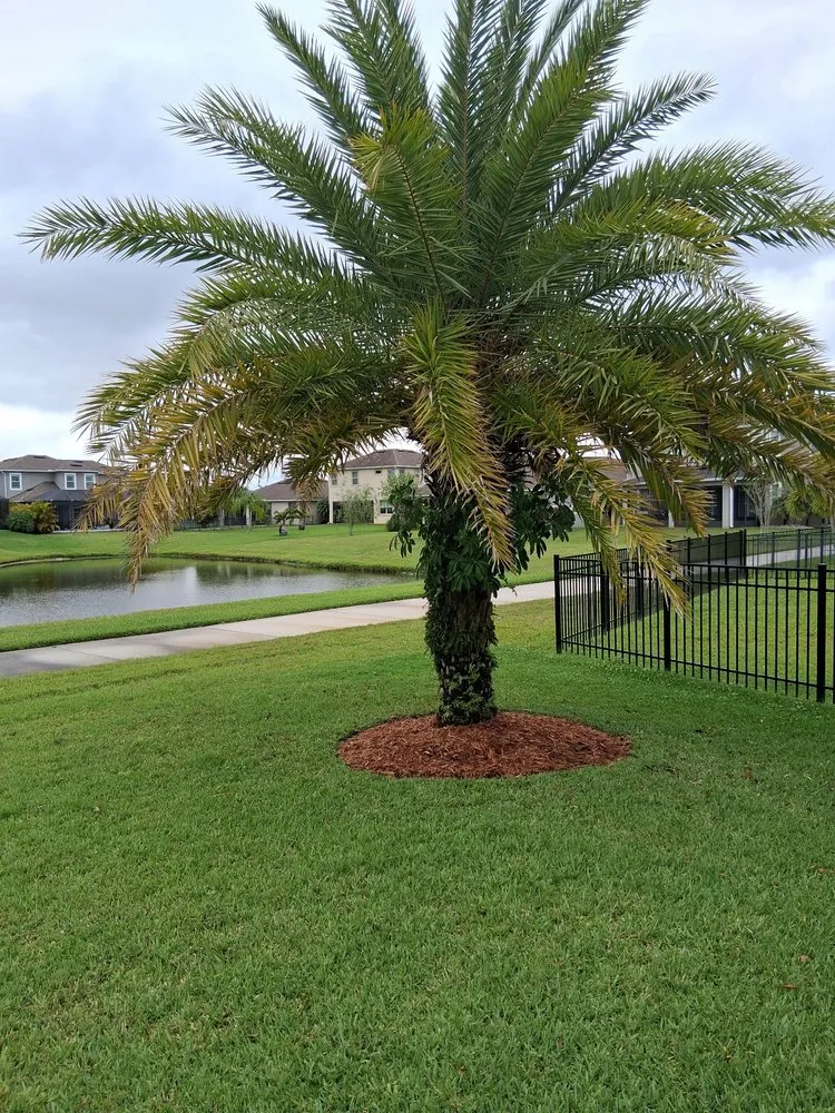 Expert outdoor landscaping in Palm Bay, FL - Fresh Cuts Lawn Care & Landscaping