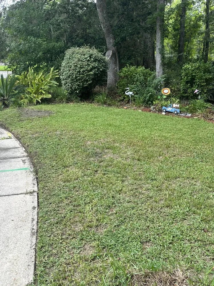 Expert lawn care service for residential properties across Gainesville, FL - Fresh Cuts Lawn Care