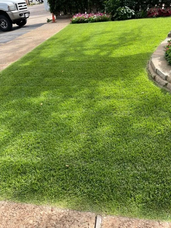 Top-rated yard maintenance experts serving Gainesville, FL - Fresh Cuts Lawn Care