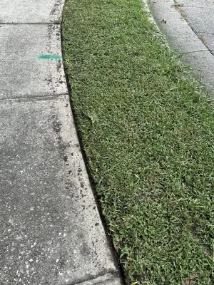 Fresh Cuts Lawn Care Logo