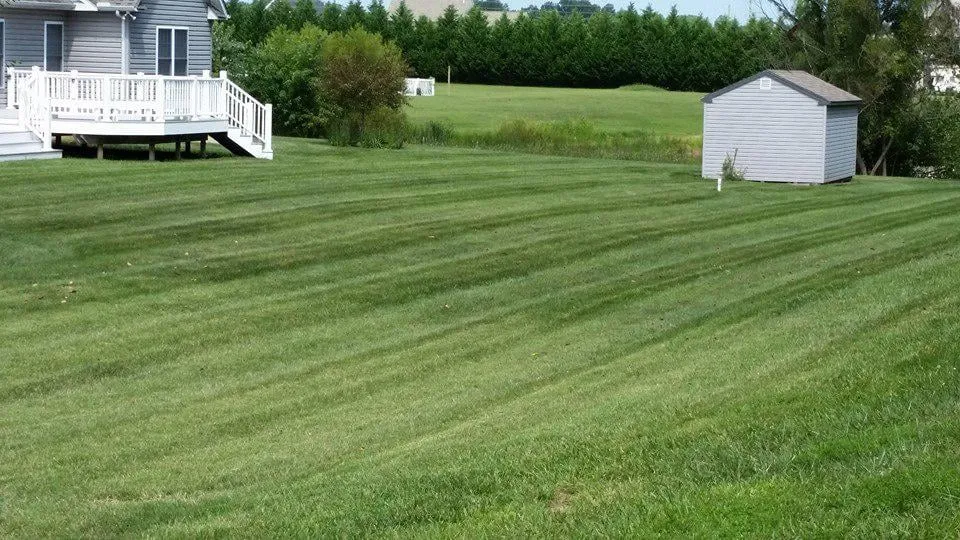 Reliable lawn care service in Greenwood, DE - Fresh Cuts Lawn Care