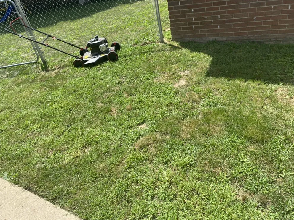 Professional landscaping services in Peoria, IL by Fresh Cuts Lawn Care