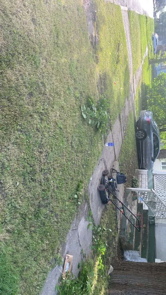 Trusted yard cleanup service in Peoria, IL - Fresh Cuts Lawn Care