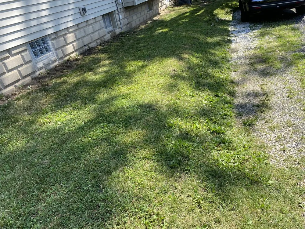 Trusted residential landscaping in Peoria, IL by Fresh Cuts Lawn Care