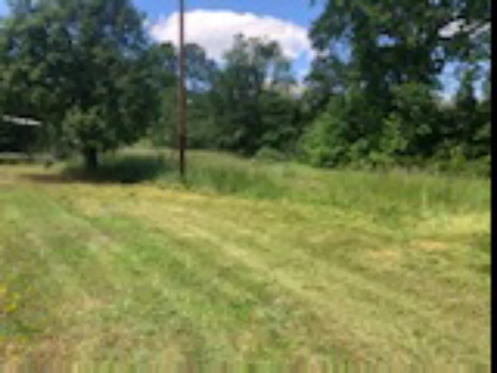 Trusted lawn mowing service for year-round maintenance across Bishopville, SC - Fresh cuts lawn services