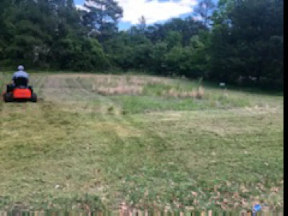 Reliable residential landscaping in Bishopville, SC by Fresh cuts lawn services