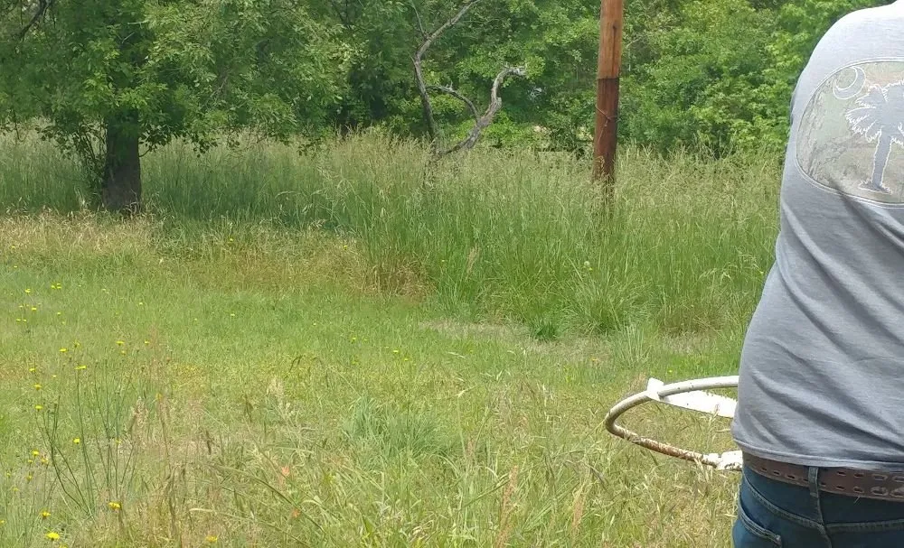 Affordable outdoor landscaping for beautiful yards across Bishopville, SC - Fresh cuts lawn services