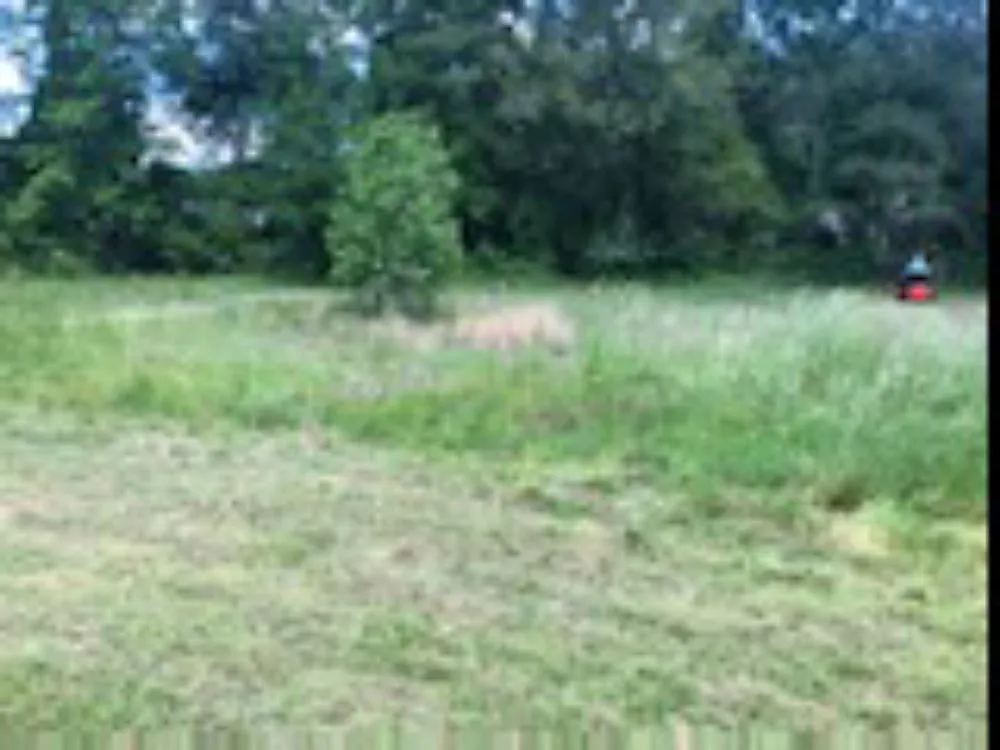 Top-rated yard cleanup service in Bishopville, SC by Fresh cuts lawn services