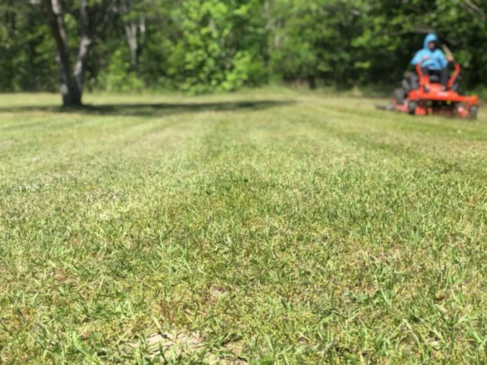 Reliable landscape design experts serving Bishopville, SC - Fresh cuts lawn services