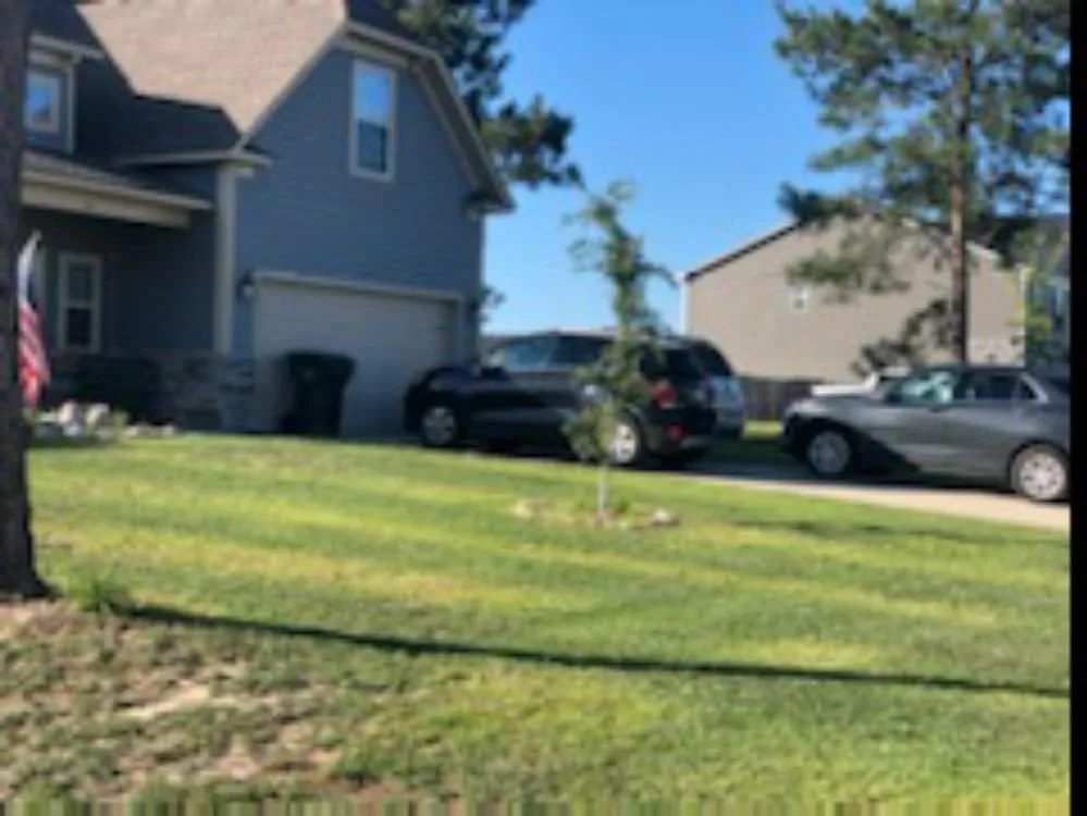 Professional lawn care service experts serving Bishopville, SC - Fresh cuts lawn services