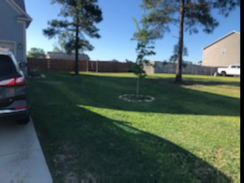 Expert outdoor landscaping for residential properties in Bishopville, SC by Fresh cuts lawn services