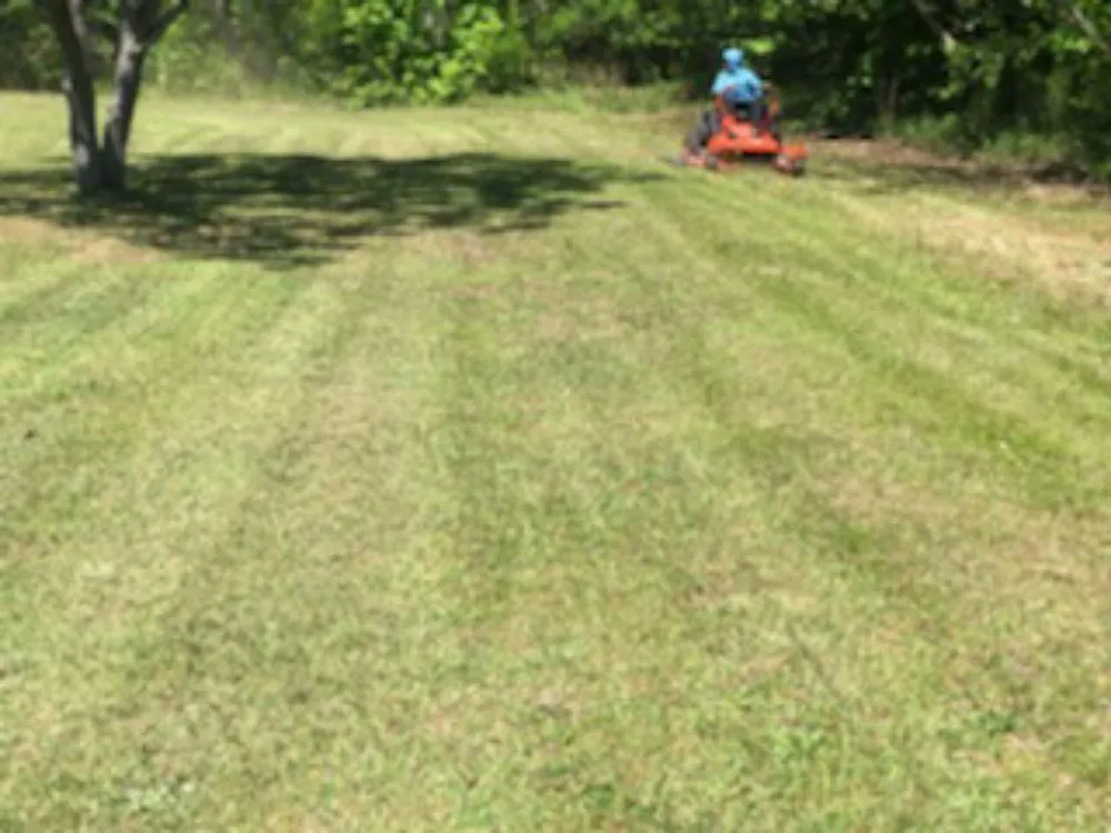 Professional residential landscaping for outdoor upgrades across Bishopville, SC - Fresh cuts lawn services