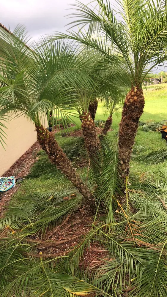 Expert landscape design for year-round maintenance across Port Charlotte, FL - Fresh Cuts Property Management