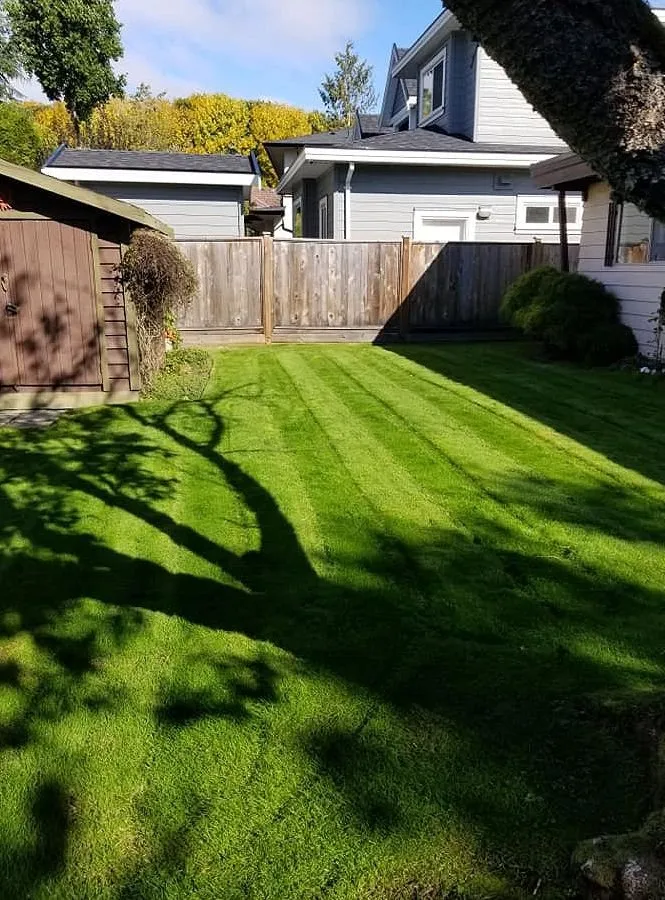 Professional landscape design experts serving Linwood, NC - Fresh Cuts Solution