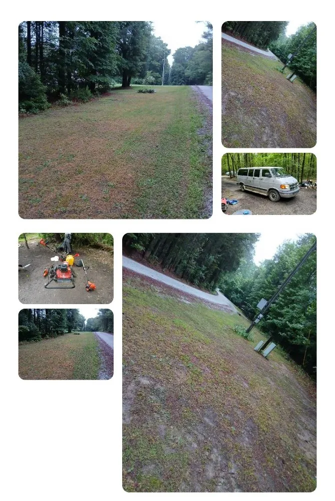 Affordable landscape design for year-round maintenance across Tega Cay, SC - Fresh Cuts