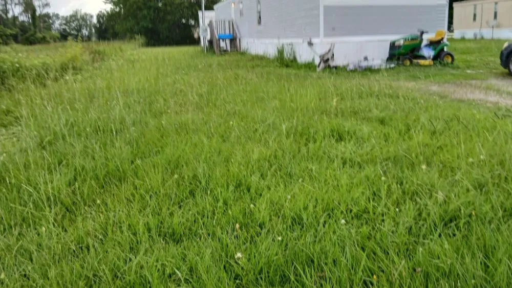 Reliable residential landscaping experts serving Sulphur, LA - Fresh Cutz Lawn Care