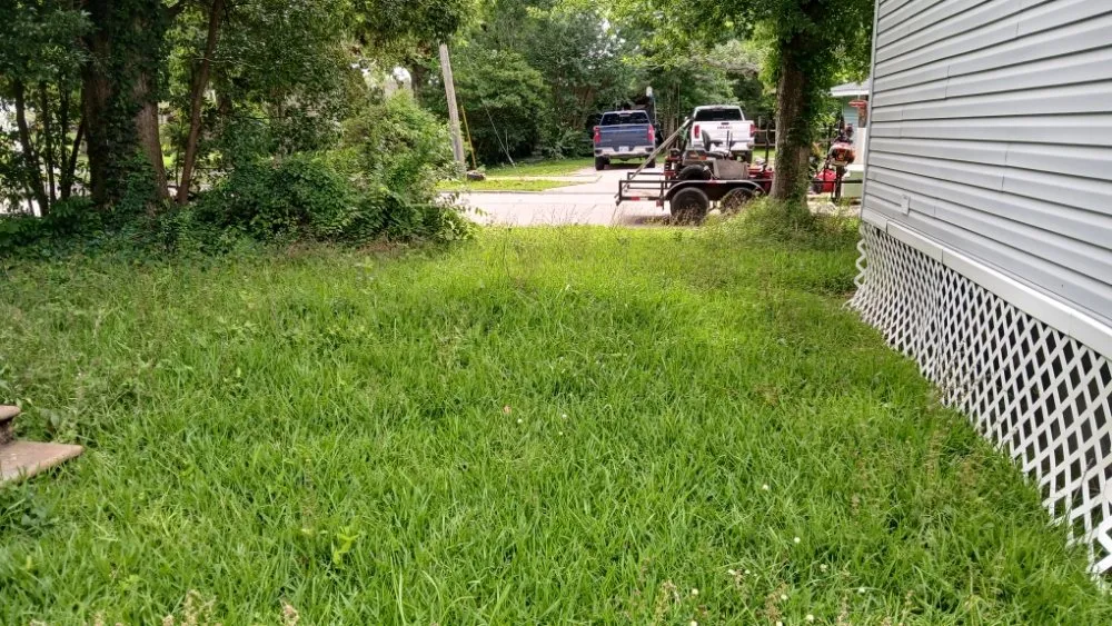 Custom yard cleanup service for year-round maintenance in Sulphur, LA by Fresh Cutz Lawn Care