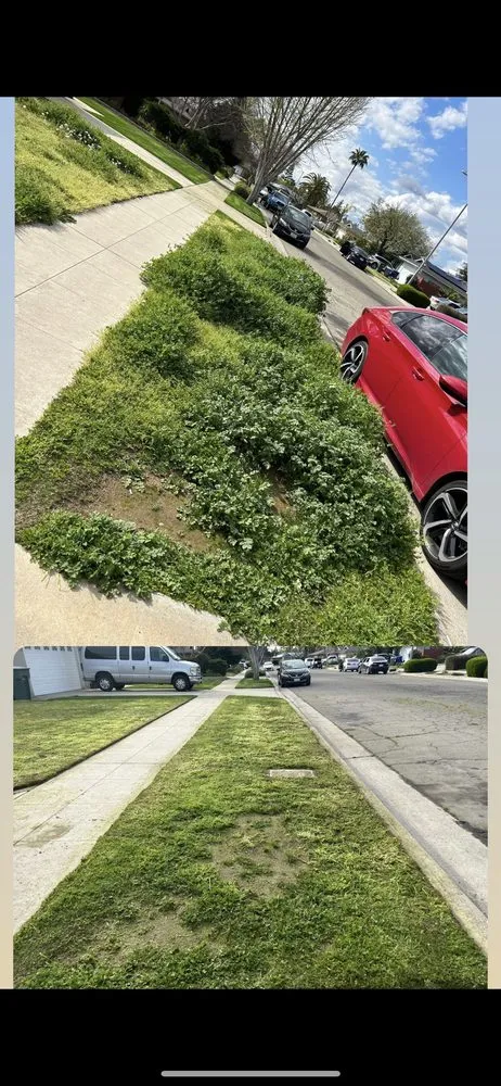 Expert outdoor landscaping near you in Fresno, CA by Fresh Cutz Lawncare