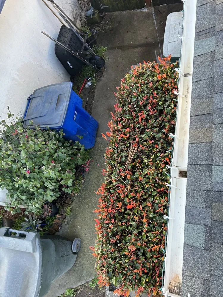 Top-rated lawn care service in Fresno, CA - Fresh Cutz Lawncare