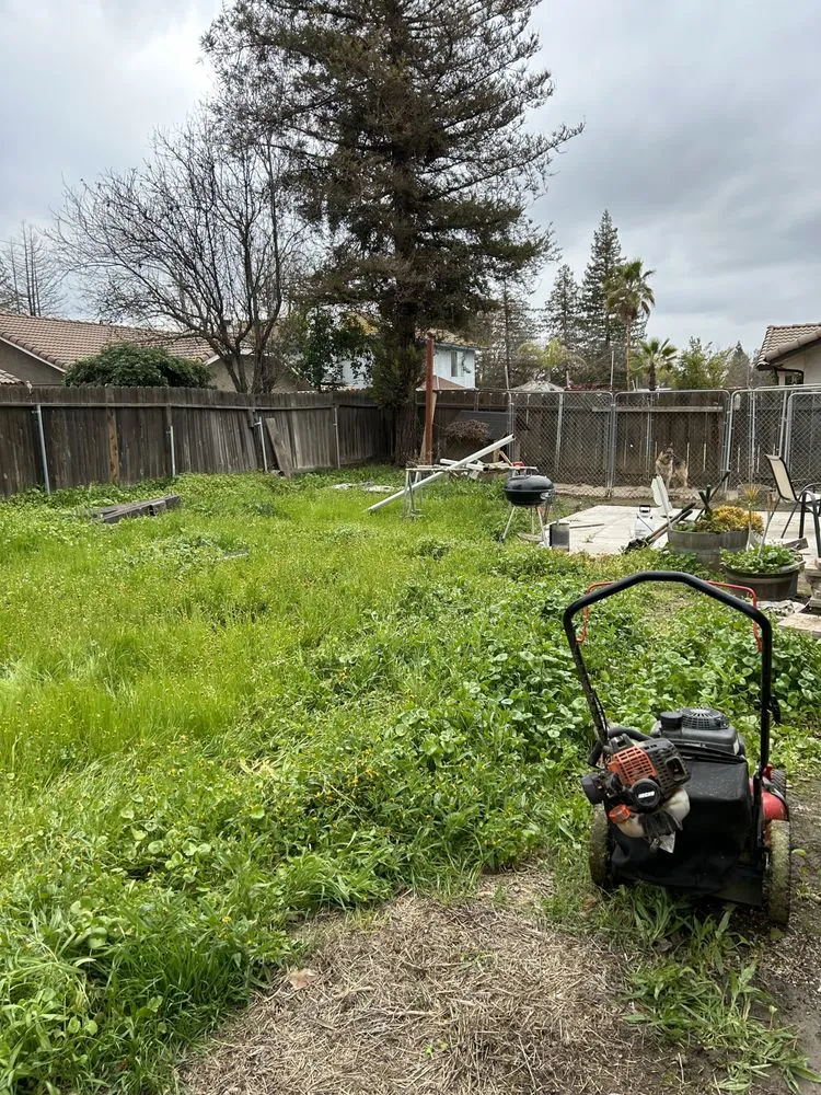 Reliable landscape installation for year-round maintenance across Fresno, CA - Fresh Cutz Lawncare