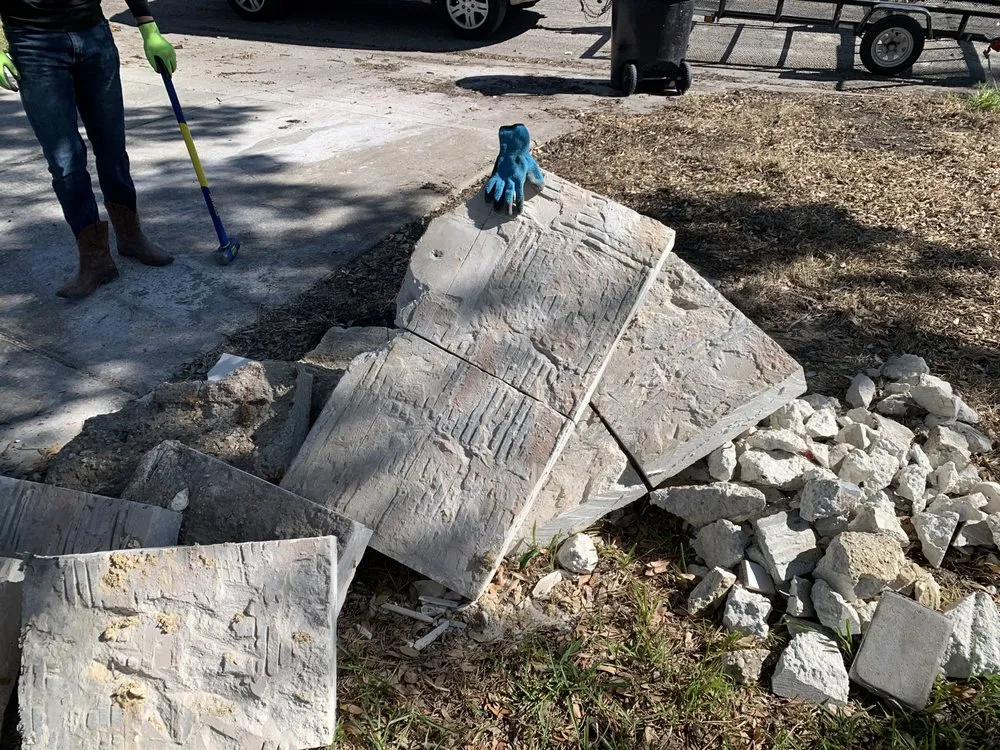 Local yard cleanup service experts serving St. Petersburg, FL - Fresh Cutz N Clean