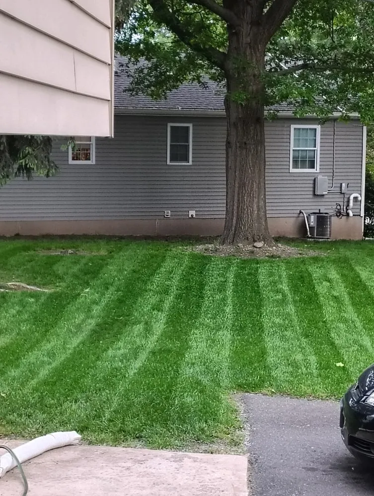 Local lawn mowing service for residential properties in Pittston, PA by Fresh Edge Land And Tree Solutions