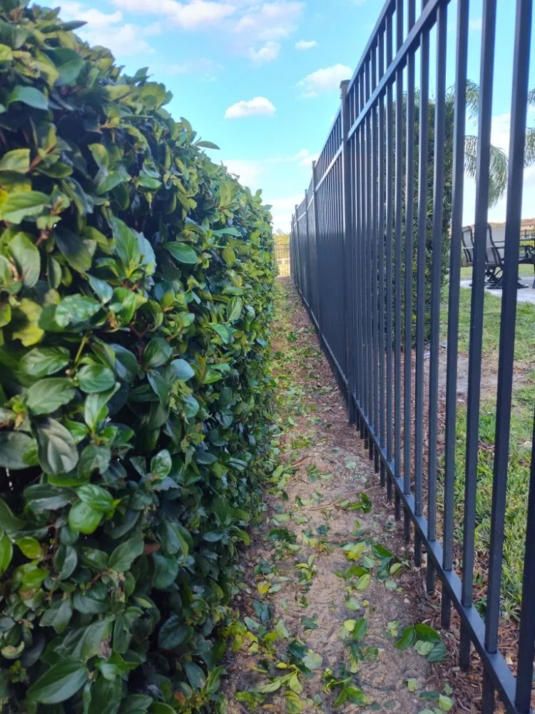 Professional outdoor landscaping experts serving Pittston, PA - Fresh Edge Land And Tree Solutions