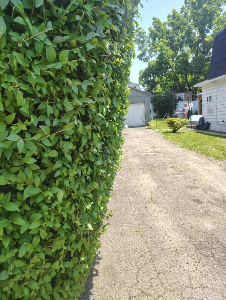 Trusted yard cleanup service near you in Pittston, PA by Fresh Edge Land And Tree Solutions