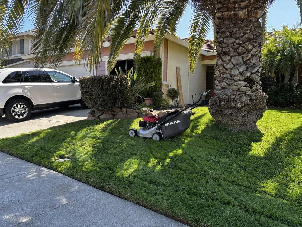 Expert residential landscaping near you across Lincoln, CA - Fresh Edge Lawn Maintenance