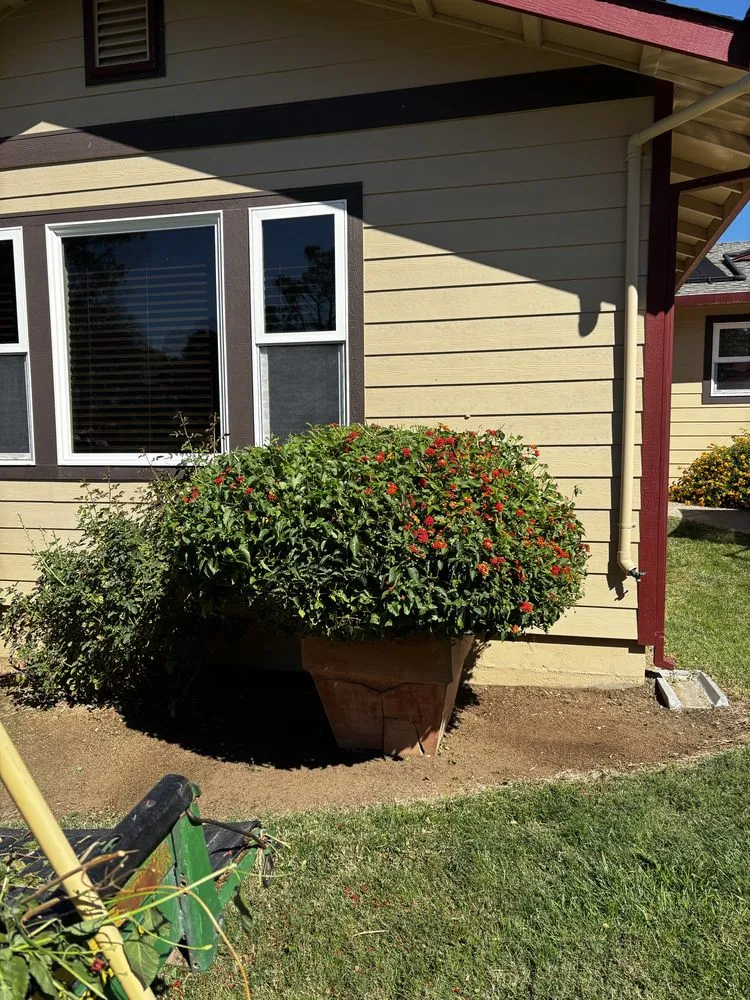 Custom lawn care service in Lincoln, CA by Fresh Edge Lawn Maintenance