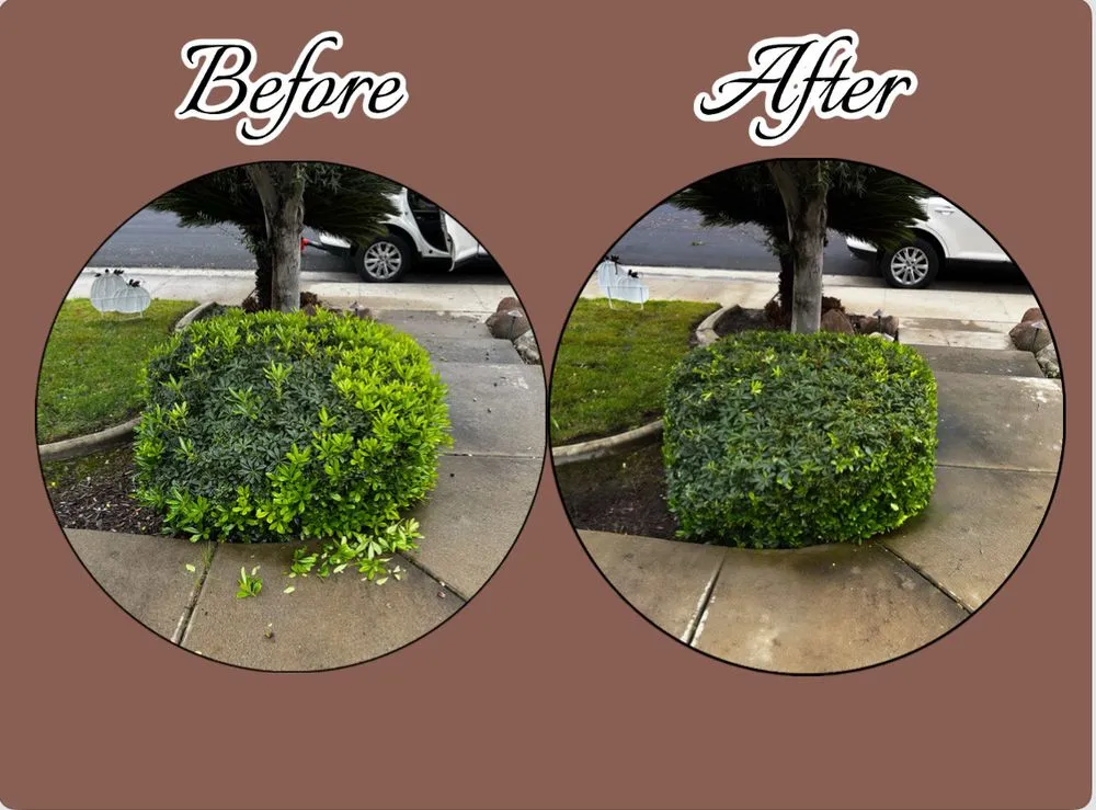 Affordable landscaping services for year-round maintenance across Lincoln, CA - Fresh Edge Lawn Maintenance