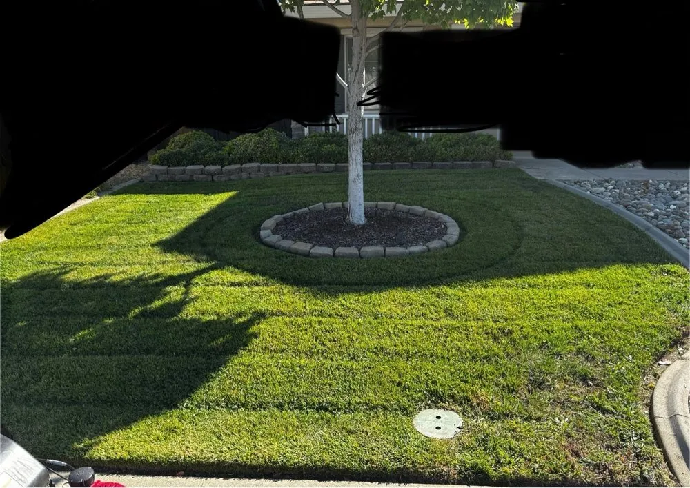 Trusted outdoor landscaping in Lincoln, CA by Fresh Edge Lawn Maintenance