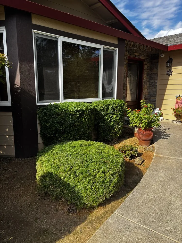 Top-rated landscape installation in Lincoln, CA by Fresh Edge Lawn Maintenance