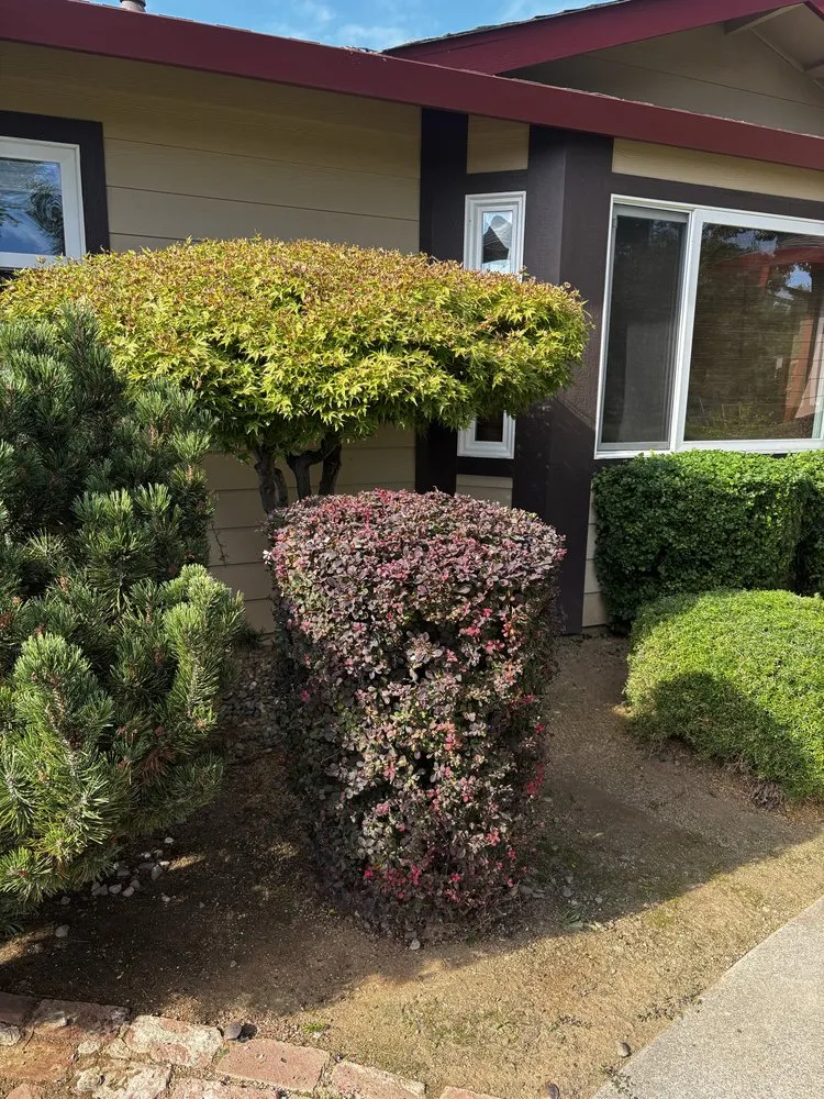 Custom landscape installation for outdoor upgrades in Lincoln, CA by Fresh Edge Lawn Maintenance