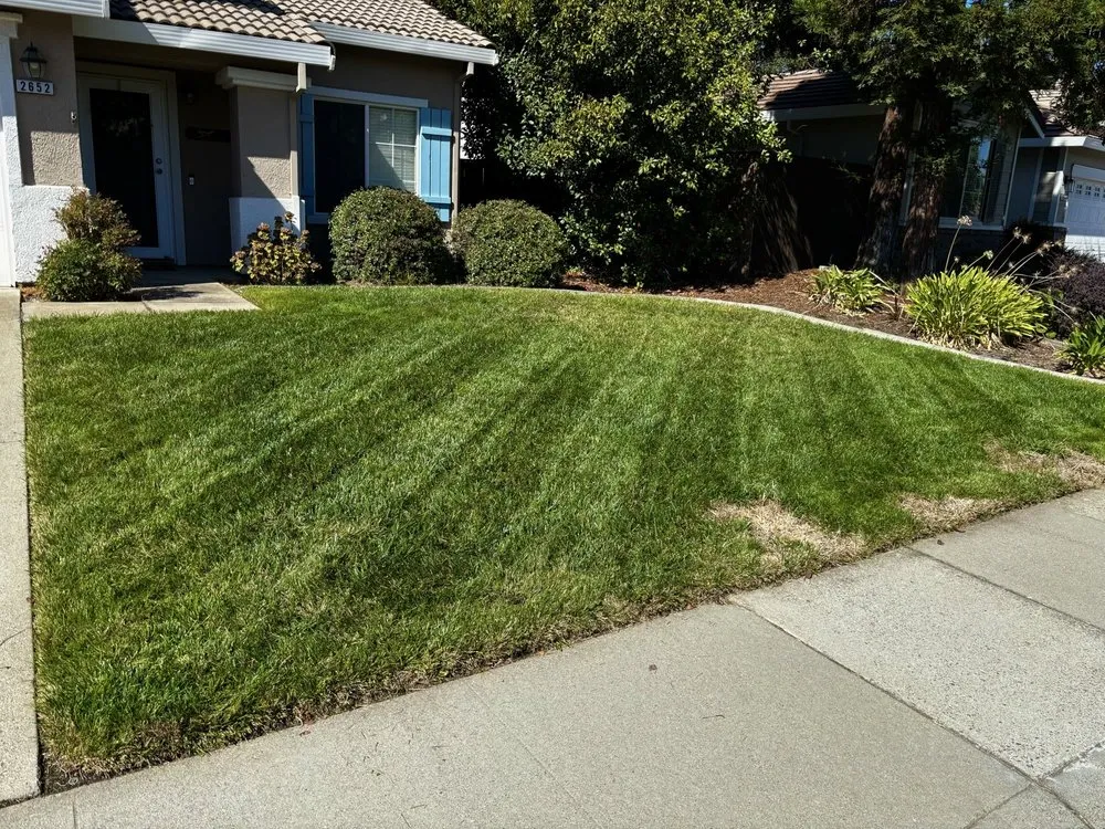 Local outdoor landscaping for outdoor upgrades in Lincoln, CA by Fresh Edge Lawn Maintenance