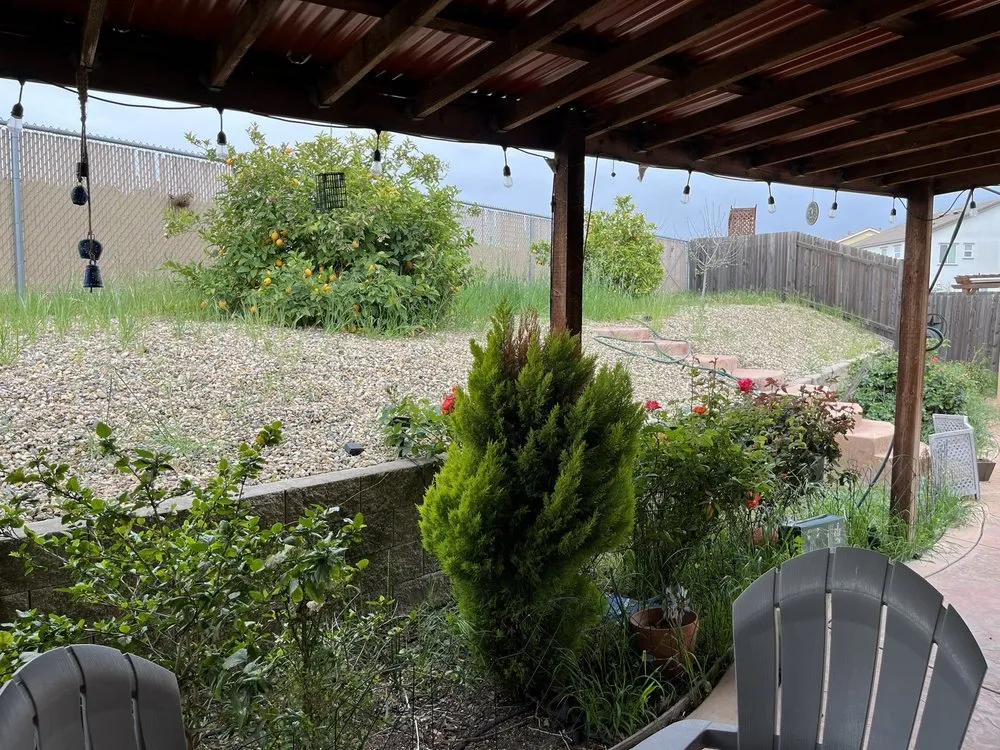 Reliable yard cleanup service in Oakley, CA - Fresh Edge