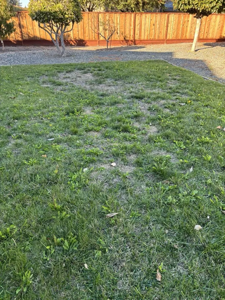 Custom residential landscaping for year-round maintenance across Oakley, CA - Fresh Edge