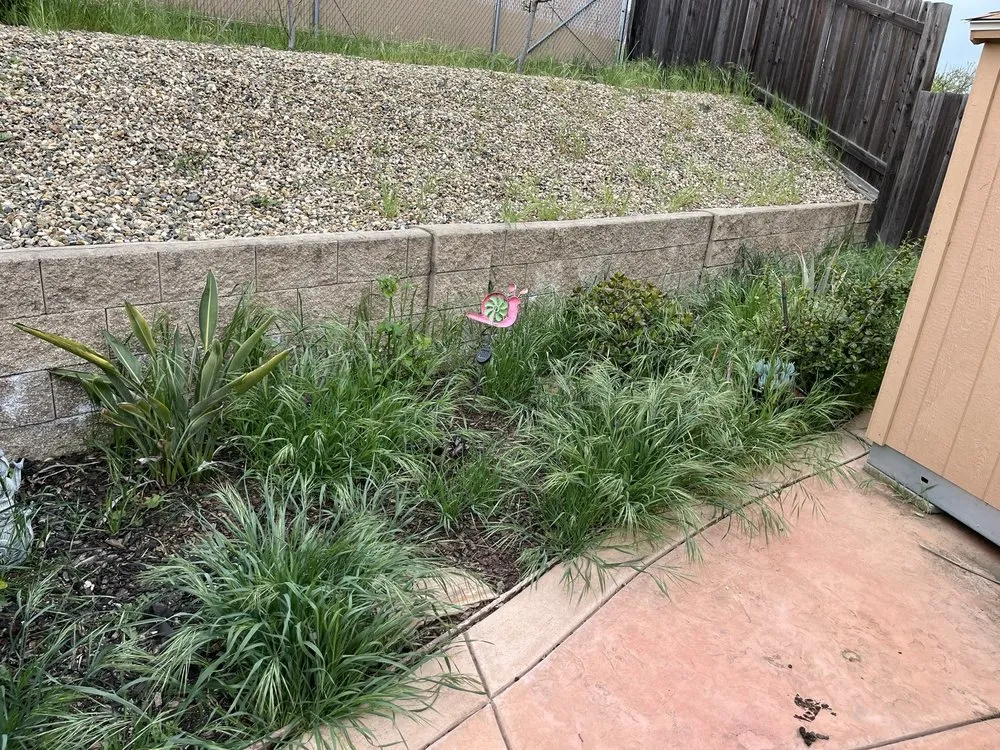 Top-rated outdoor landscaping in Oakley, CA by Fresh Edge