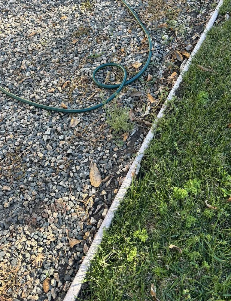 Expert lawn care service with custom design across Oakley, CA - Fresh Edge