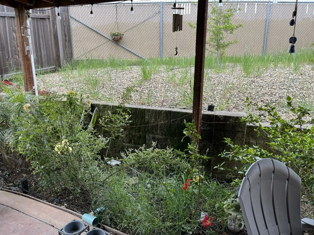 Custom outdoor landscaping in Oakley, CA by Fresh Edge