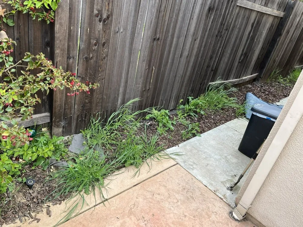 Custom landscape installation in Oakley, CA - Fresh Edge