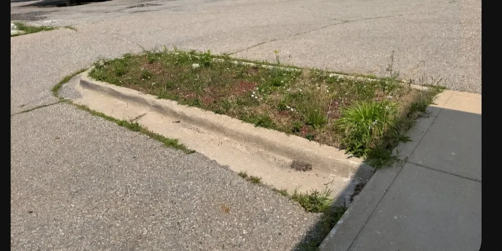 Top-rated outdoor landscaping for beautiful yards in Livonia, MI by Fresh Edge Services